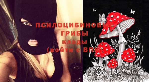 спайс Арсеньев