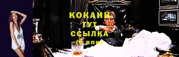 спайс Арсеньев