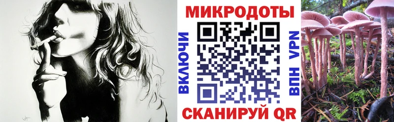 Псилоцибиновые грибы Psilocybine cubensis  Купить где  Спасск-Рязанский 